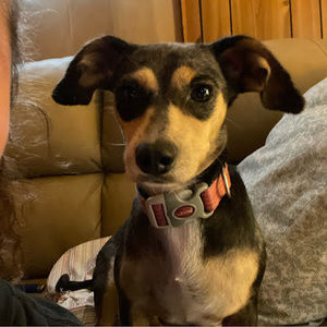 Meet your Posher, Linda